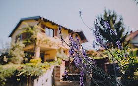 Holiday Home Castanea