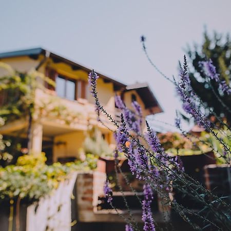 Holiday Home Castanea Praporcan Zewnętrze zdjęcie