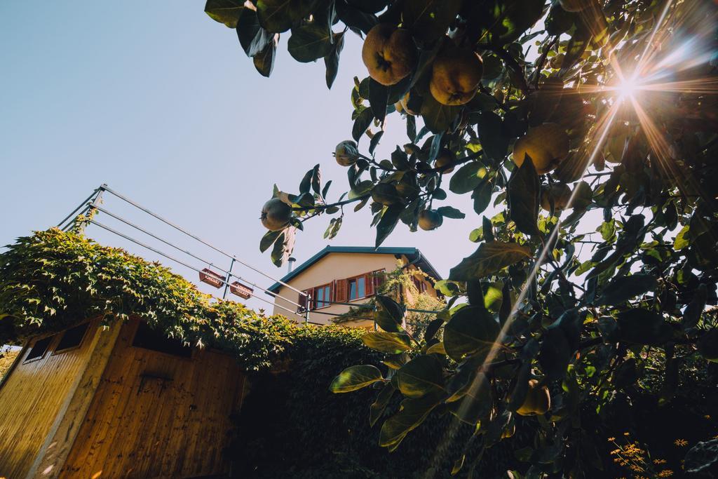 Holiday Home Castanea Praporcan Zewnętrze zdjęcie