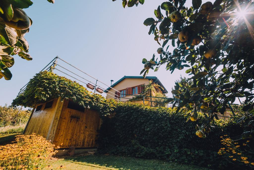 Holiday Home Castanea Praporcan Zewnętrze zdjęcie